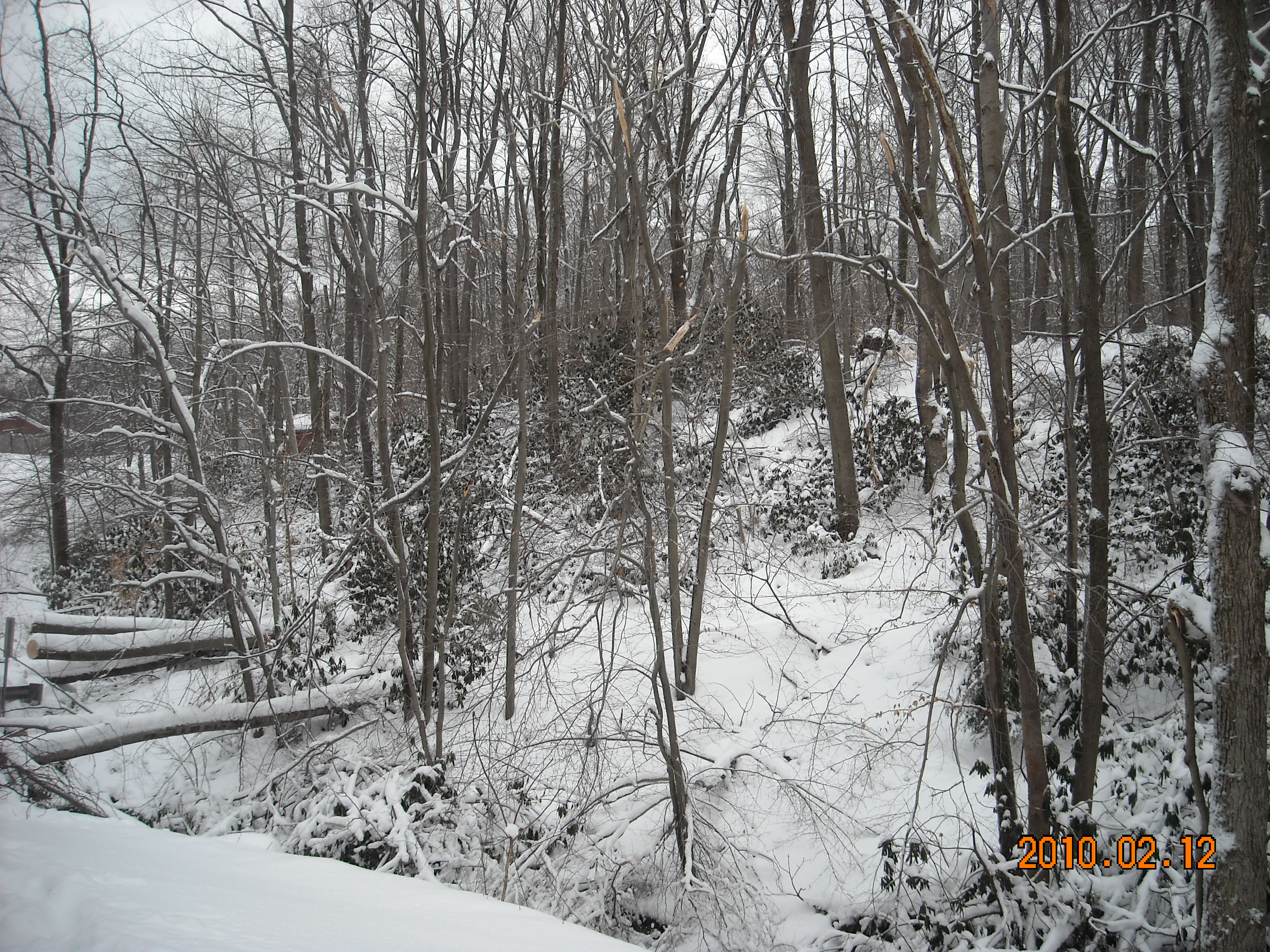 slideshow image