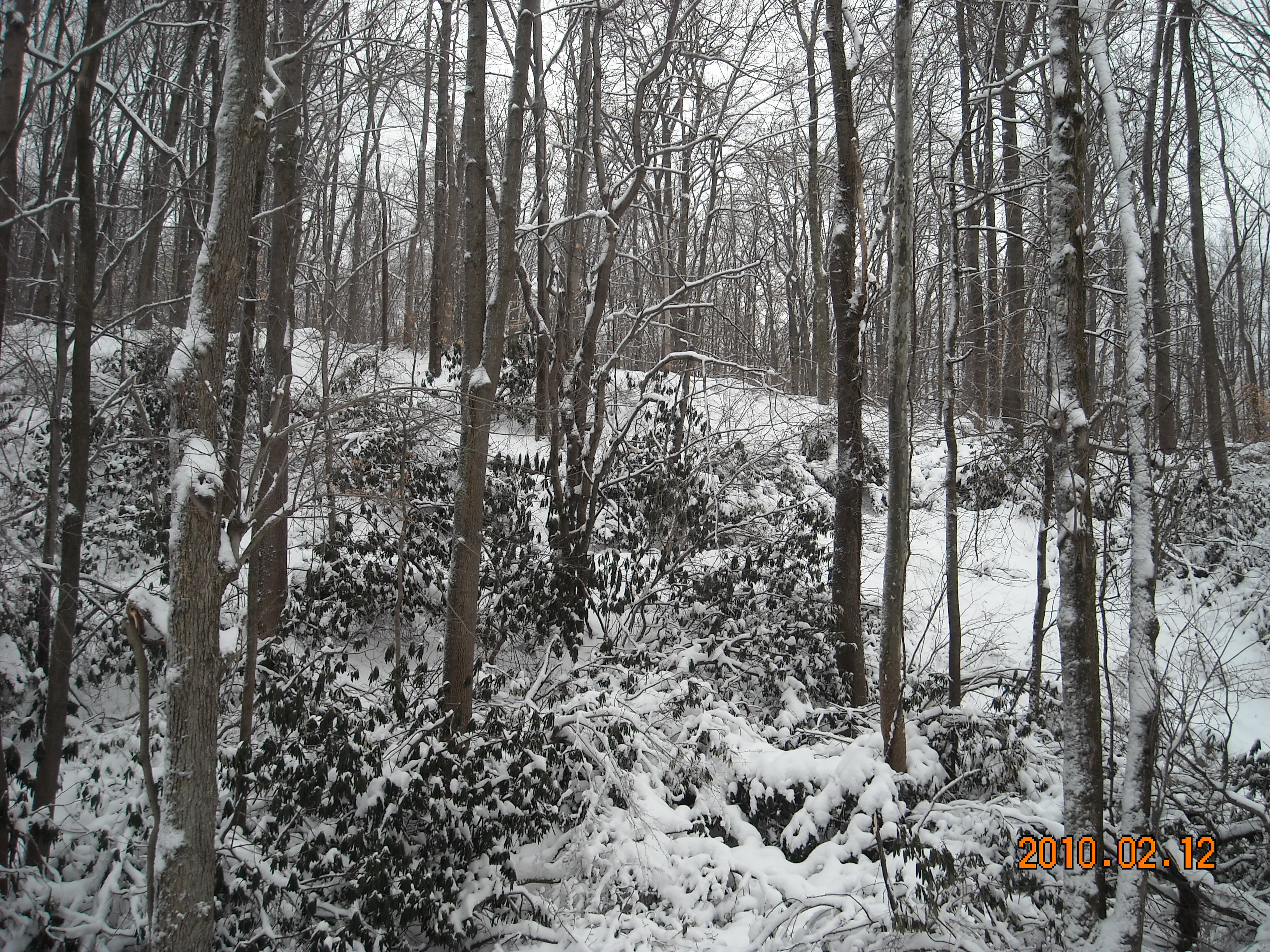 slideshow image