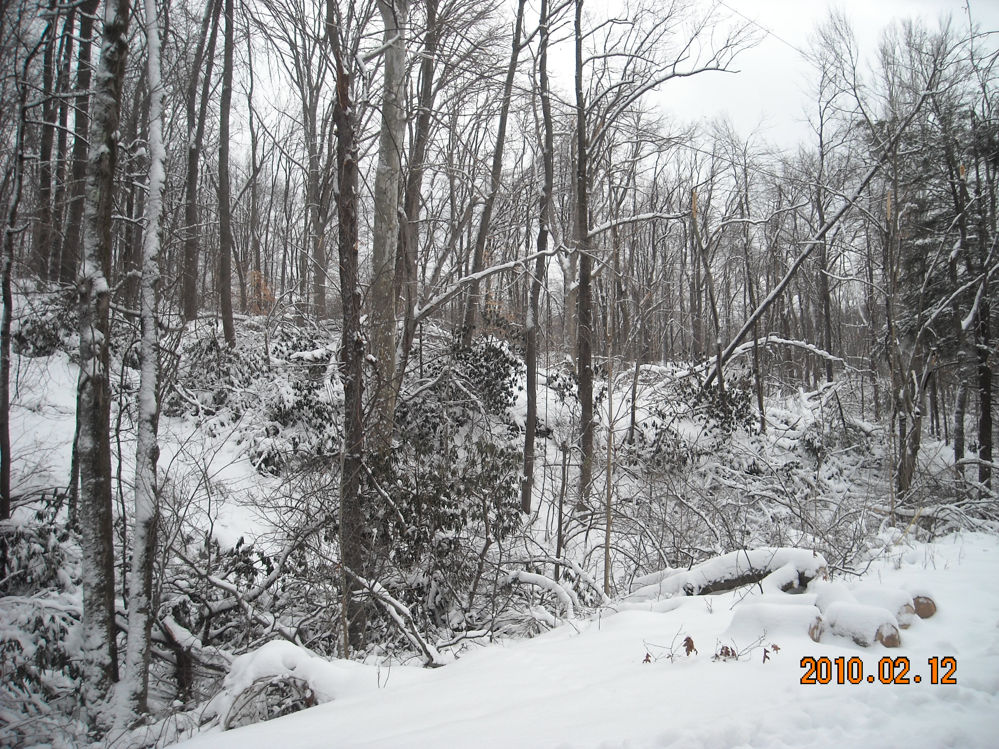 slideshow image