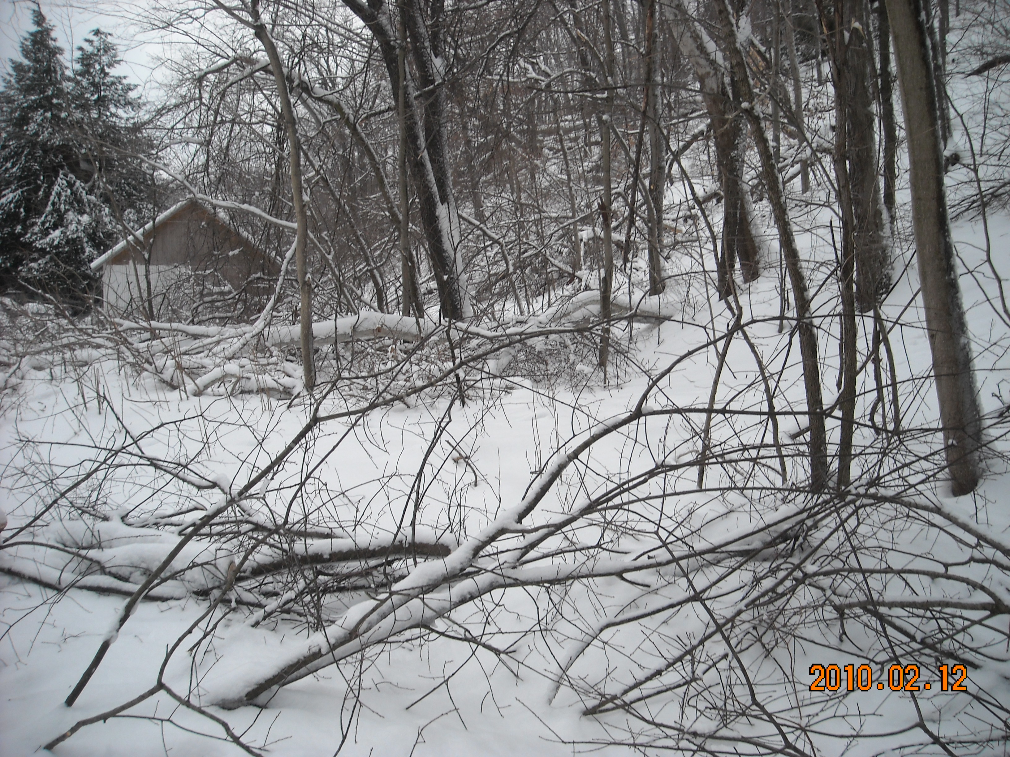 slideshow image