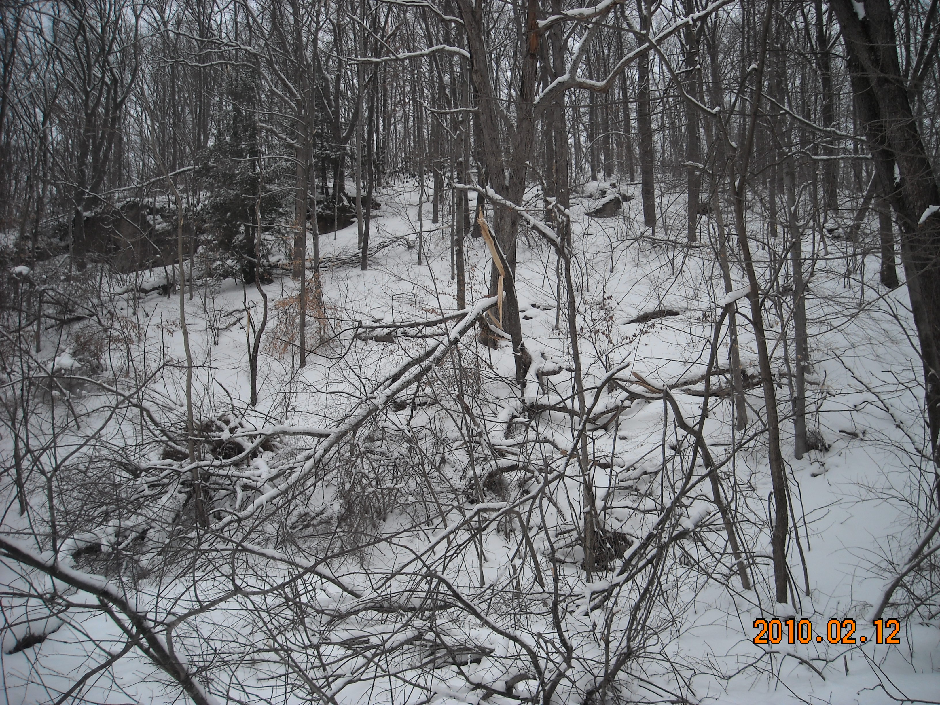 slideshow image