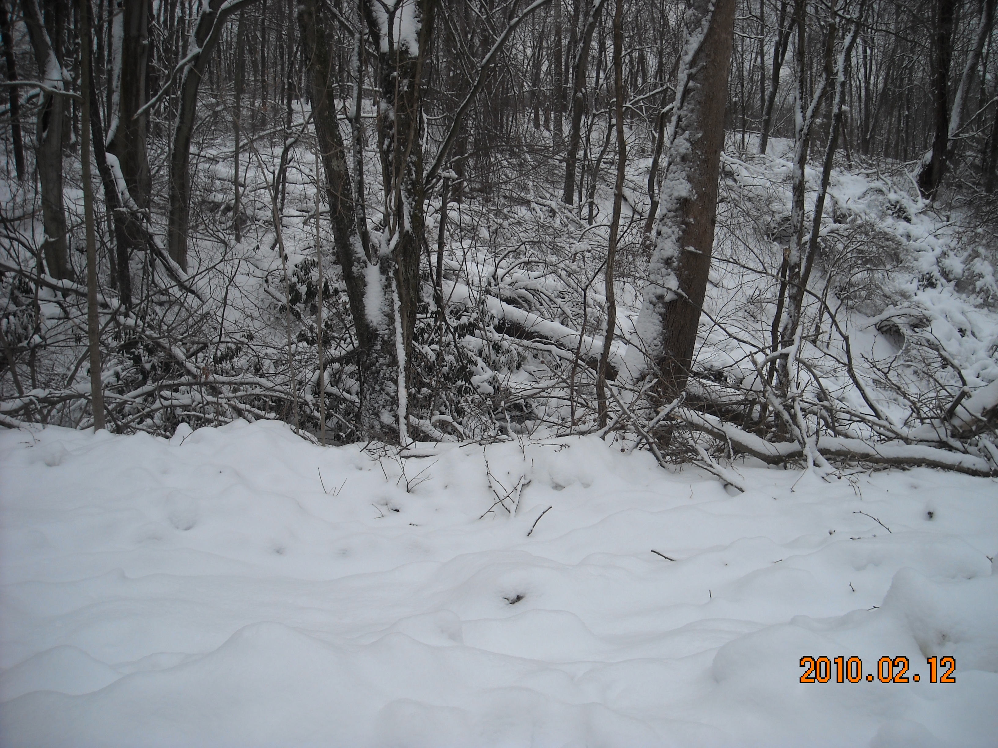 slideshow image